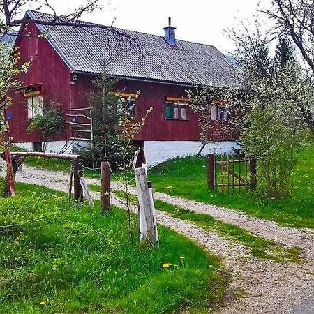 Draga Koncar Guest House Vrelo Koreničko Extérieur photo