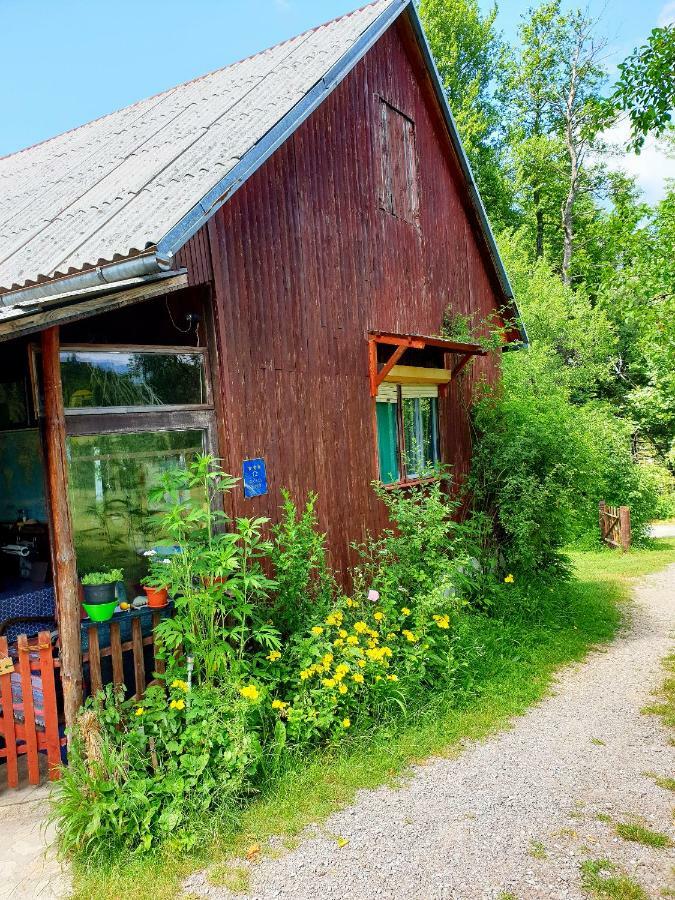 Draga Koncar Guest House Vrelo Koreničko Extérieur photo