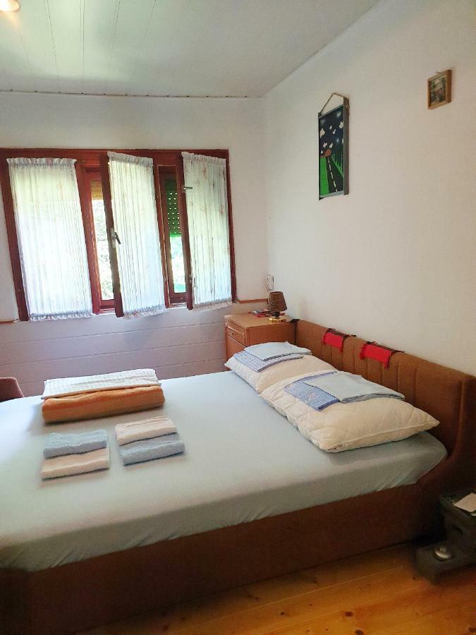 Draga Koncar Guest House Vrelo Koreničko Extérieur photo