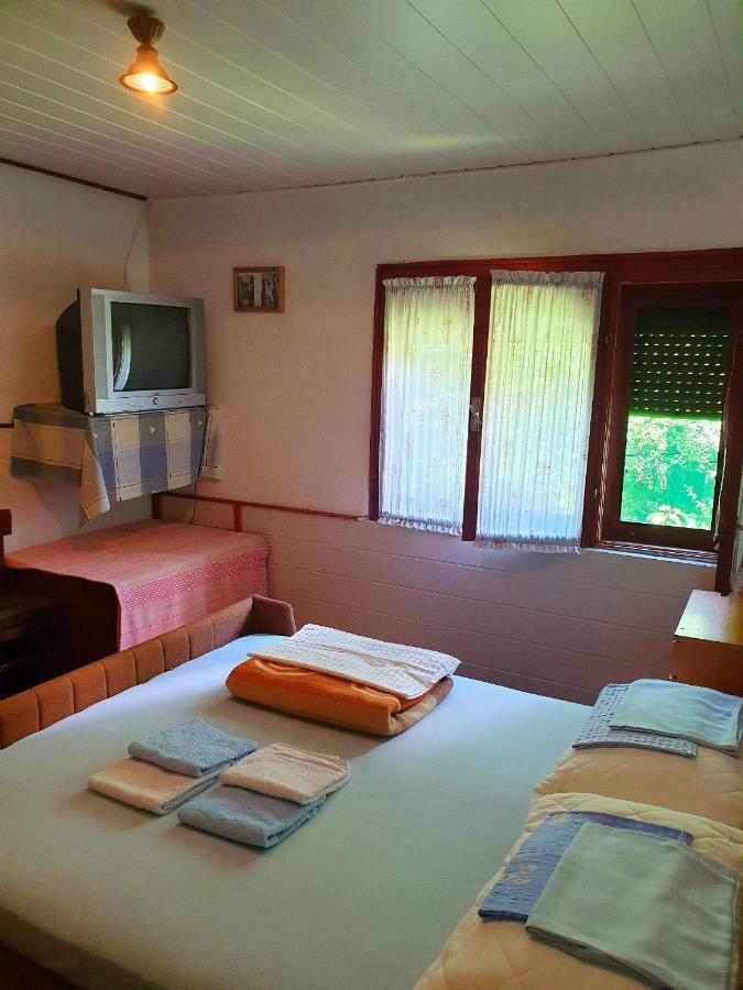 Draga Koncar Guest House Vrelo Koreničko Extérieur photo