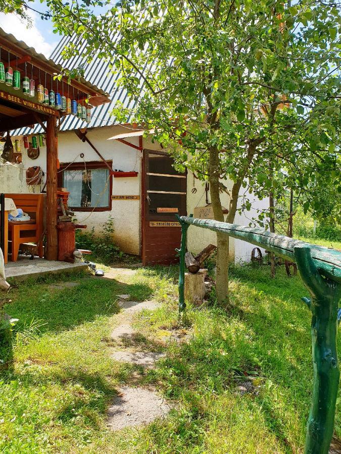 Draga Koncar Guest House Vrelo Koreničko Extérieur photo