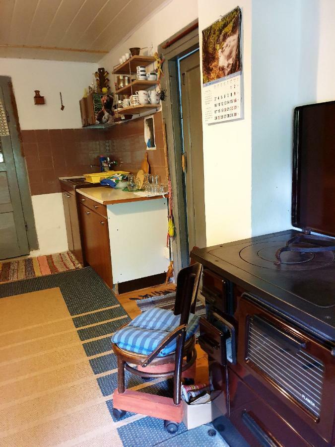 Draga Koncar Guest House Vrelo Koreničko Extérieur photo