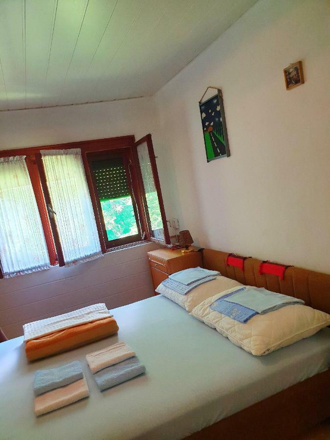Draga Koncar Guest House Vrelo Koreničko Extérieur photo